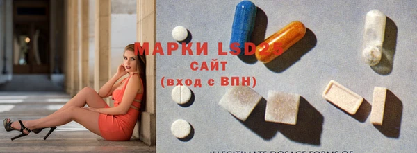 apvp Аркадак