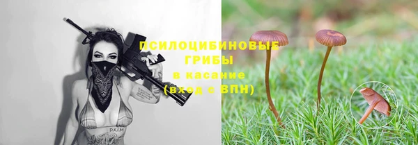 mdpv Арсеньев