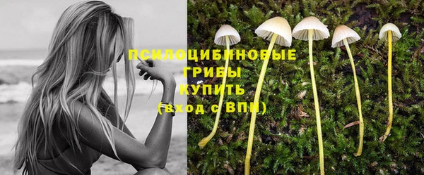 apvp Аркадак